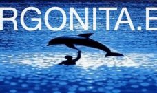 Noticias y actualizaciones en la tienda orgonita.eu Noticias y actualizaciones en la tienda orgonita.eu
