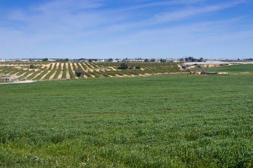 Gifting Castilla la Mancha by farmers invitation